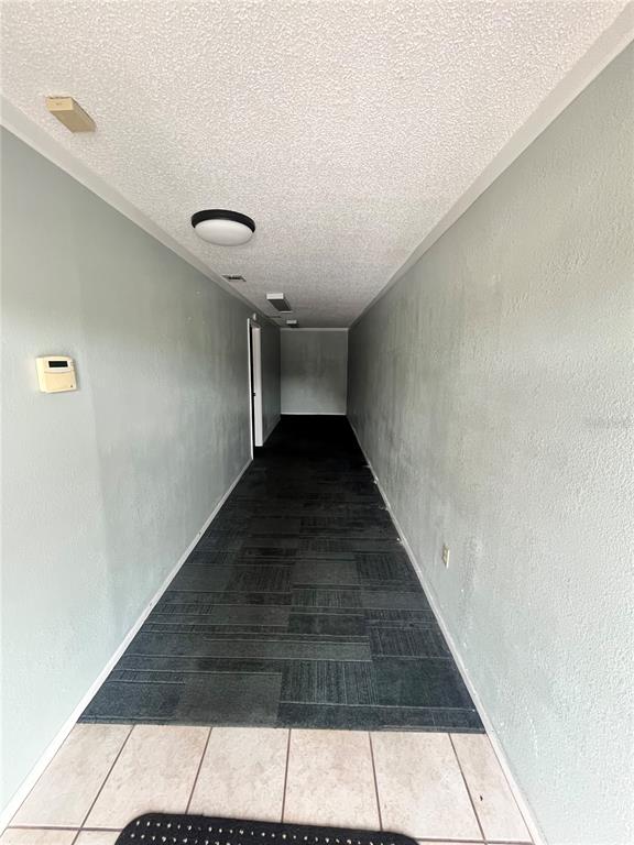 A long hallway features light green walls, a textured ceiling, and dark patterned carpet — 7218 CONGRESS ST., NEW PORT RICHEY, FL