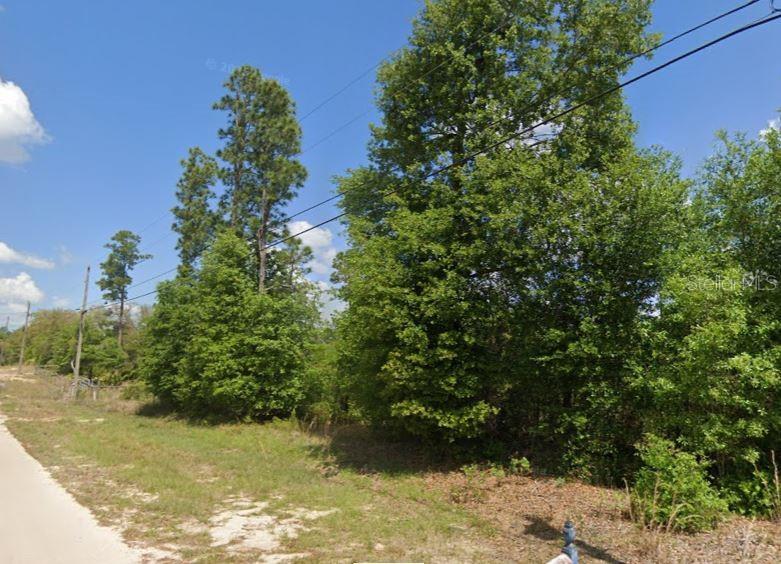 A view of a wooded, undeveloped lot along a dirt road under a blue sky — 5504 JEFFERSON STREET, KEYSTONE HEIGHTS, FL
