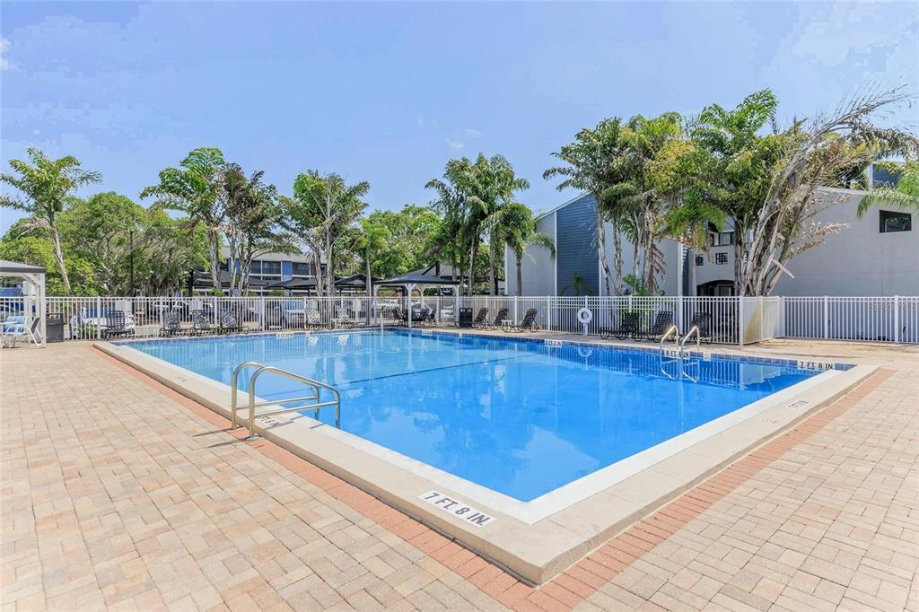 A rectangular outdoor swimming pool is surrounded by a brick paver deck and palm trees — 5503 FOUNTAIN LAKE CIRCLE UNIT A203, BRADENTON, FL