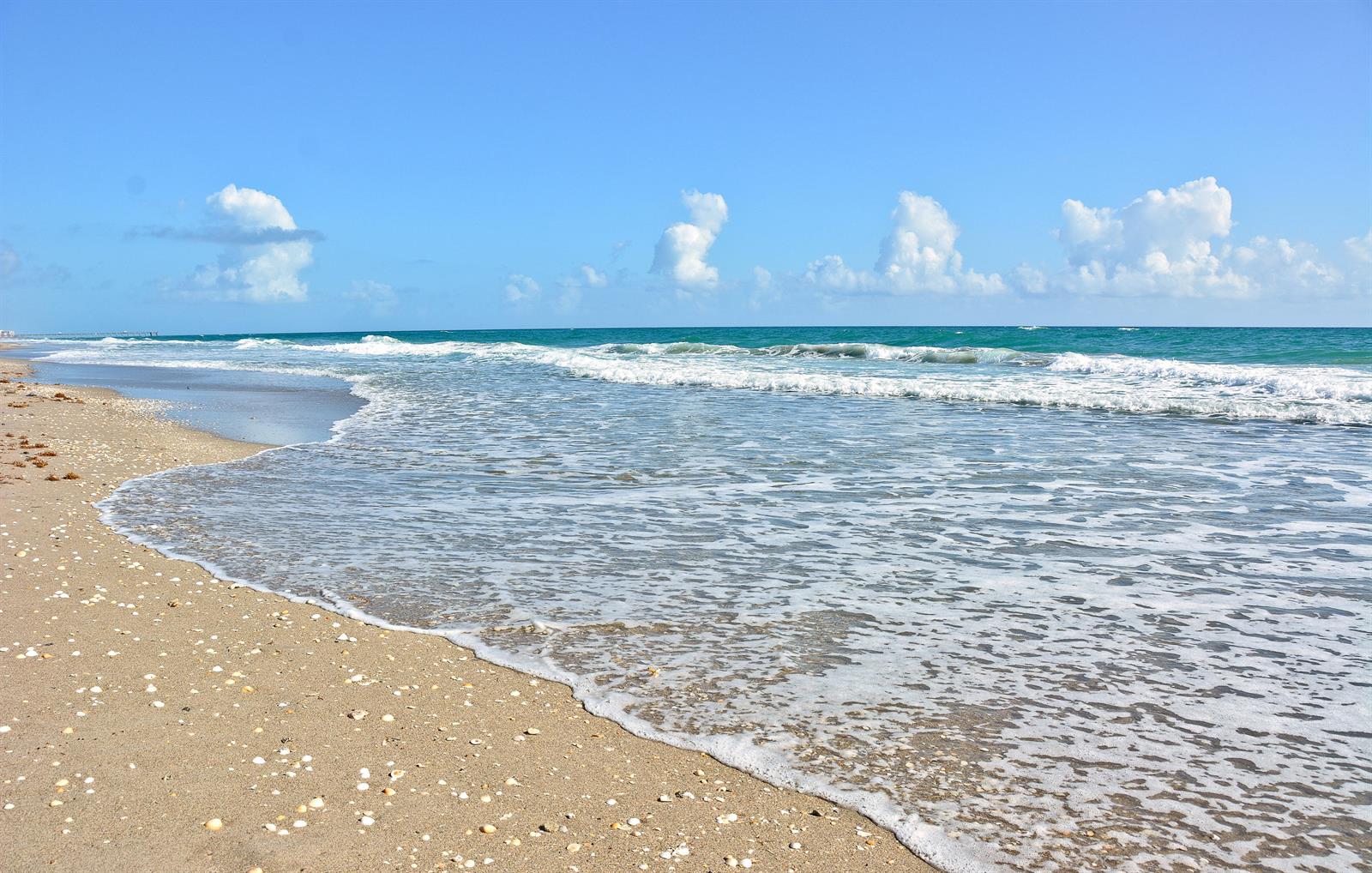 A sandy beach with scattered seashells meets the turquoise ocean under a blue sky — 50 Celestial Way # 8e, Juno Beach FL 33408, JUNO BEACH, FL