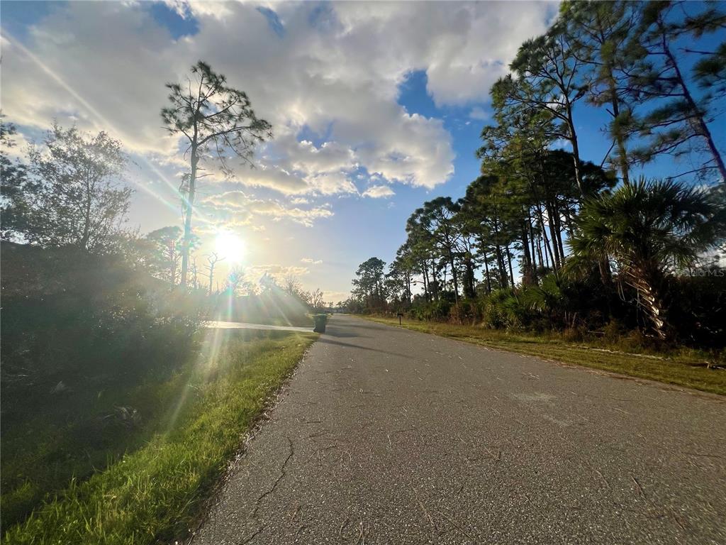 A paved road stretches into the distance past pine trees under a bright, sunny sky — 13041 FELDMAN AVENUE, PORT CHARLOTTE, FL