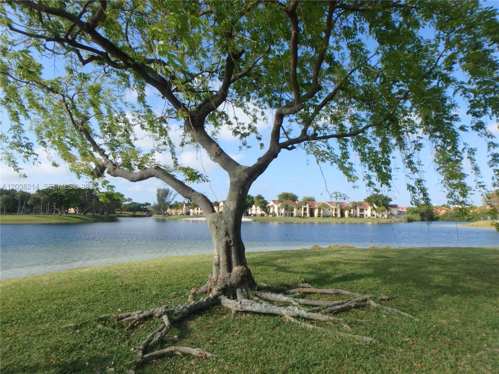 A large tree with exposed roots stands on a grassy lawn beside a lake — 9727 Hammocks Blvd # 101D, Miami FL 33196, MIAMI, FL
