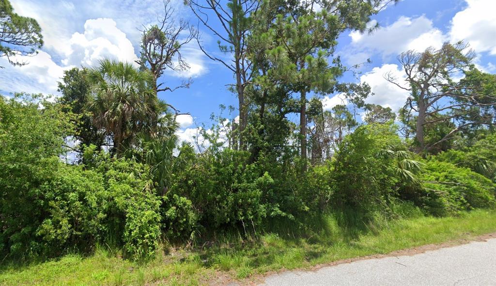 A vacant, wooded lot with dense vegetation and tall pine trees borders a paved road — 3116 MONTGOMERY DRIVE, PORT CHARLOTTE, FL