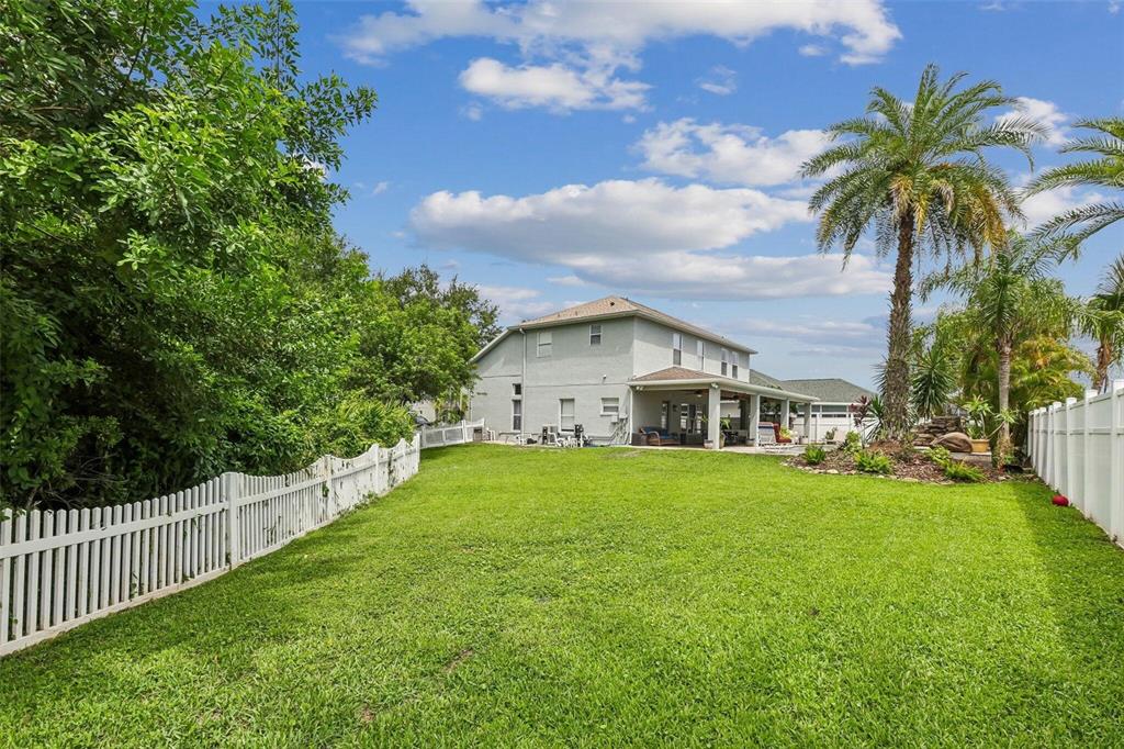 A large grassy backyard features a white picket fence, a palm tree, and a house — 11612 WINDSORTON WAY, TAMPA, FL