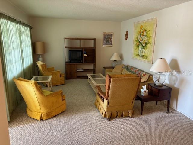 A living room features beige carpeting, yellow armchairs, a wooden entertainment center, and a sofa — 4700 COVE CIRCLE UNIT 203, ST PETERSBURG, FL