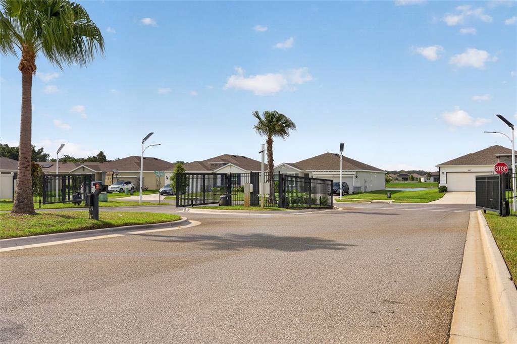 A paved road leads to the gated entrance of a residential neighborhood with palm trees — 8136 WHEAT STONE DRIVE, ZEPHYRHILLS, FL
