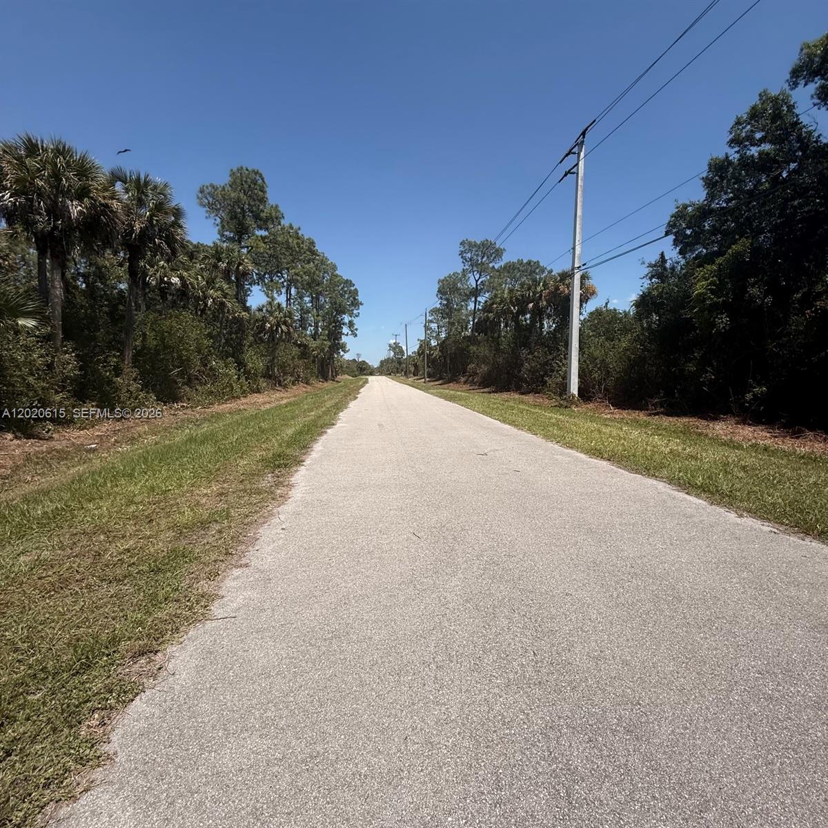 A paved road stretches into the distance, flanked by grassy shoulders and dense trees — 3811 SE 34 Ave, Naples FL 34117, NAPLES, FL