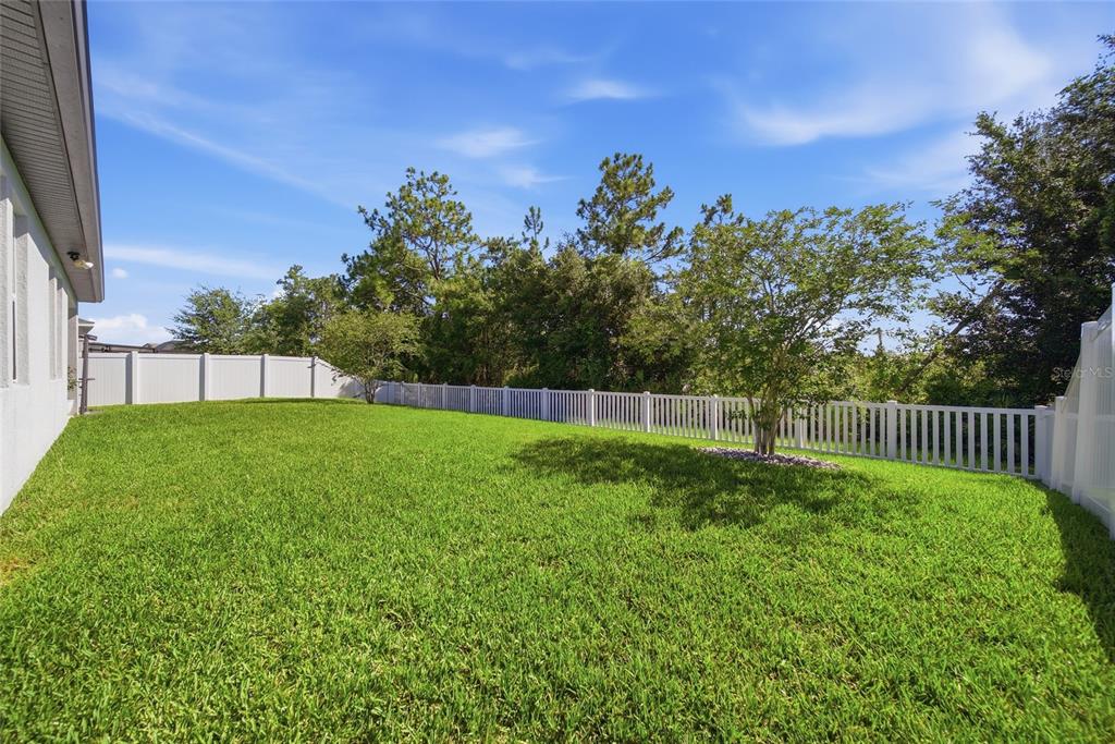 A grassy backyard features a white vinyl fence and a small tree — 5234 TURTLE BAY DRIVE, WESLEY CHAPEL, FL