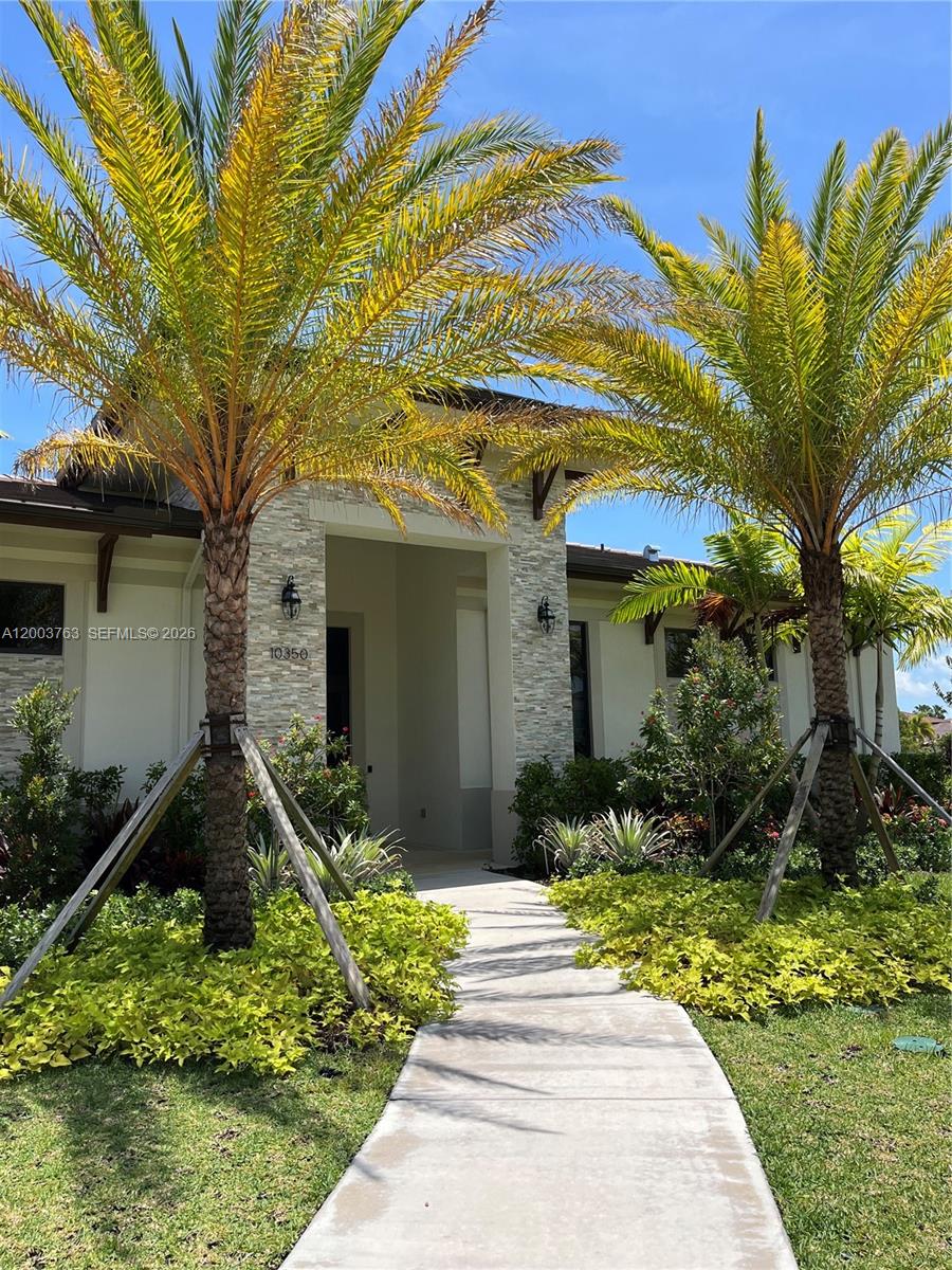 A concrete walkway leads to the stone-accented entrance of a house framed by palm trees — 10124 SW 228th Ter, Miami FL 33190, MIAMI, FL