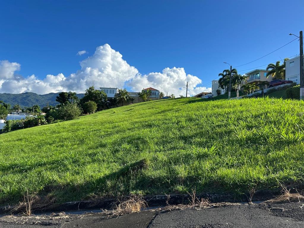 A grassy, sloped vacant lot sits below a residential street with houses and palm trees — Estancias del Verde CALLE 3 UNIT #71, RIO GRANDE, PR