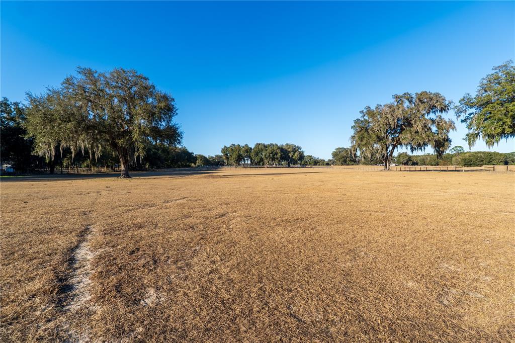 A large, dry, open pasture features several mature oak trees under a clear blue sky — 2051 SE 155TH STREET, SUMMERFIELD, FL