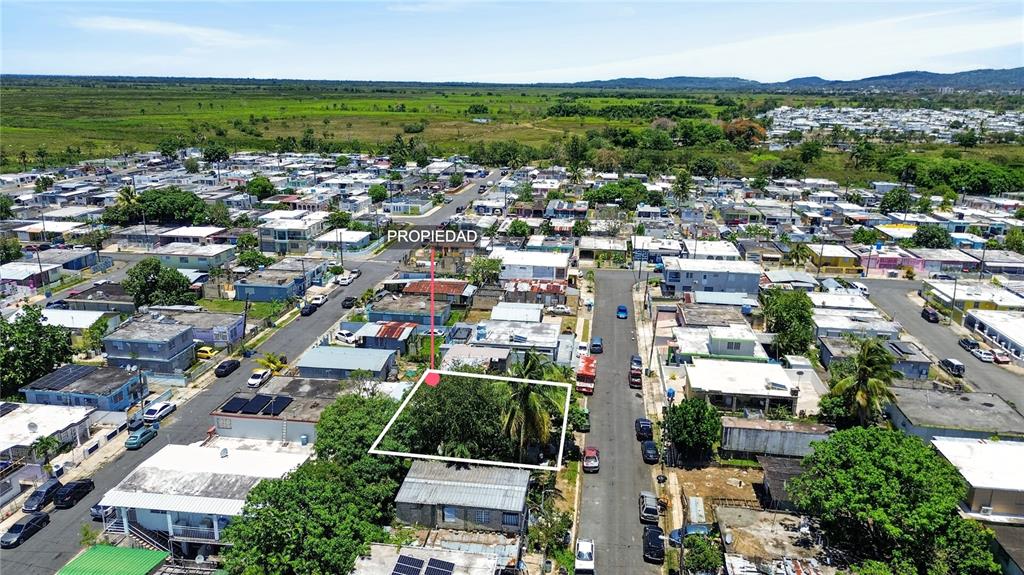 An aerial view shows a residential neighborhood with a highlighted vacant lot featuring dense vegetation — 11 ST. EXT. JARDINES DE PALMAREJO, V-20, CANOVANAS, PR