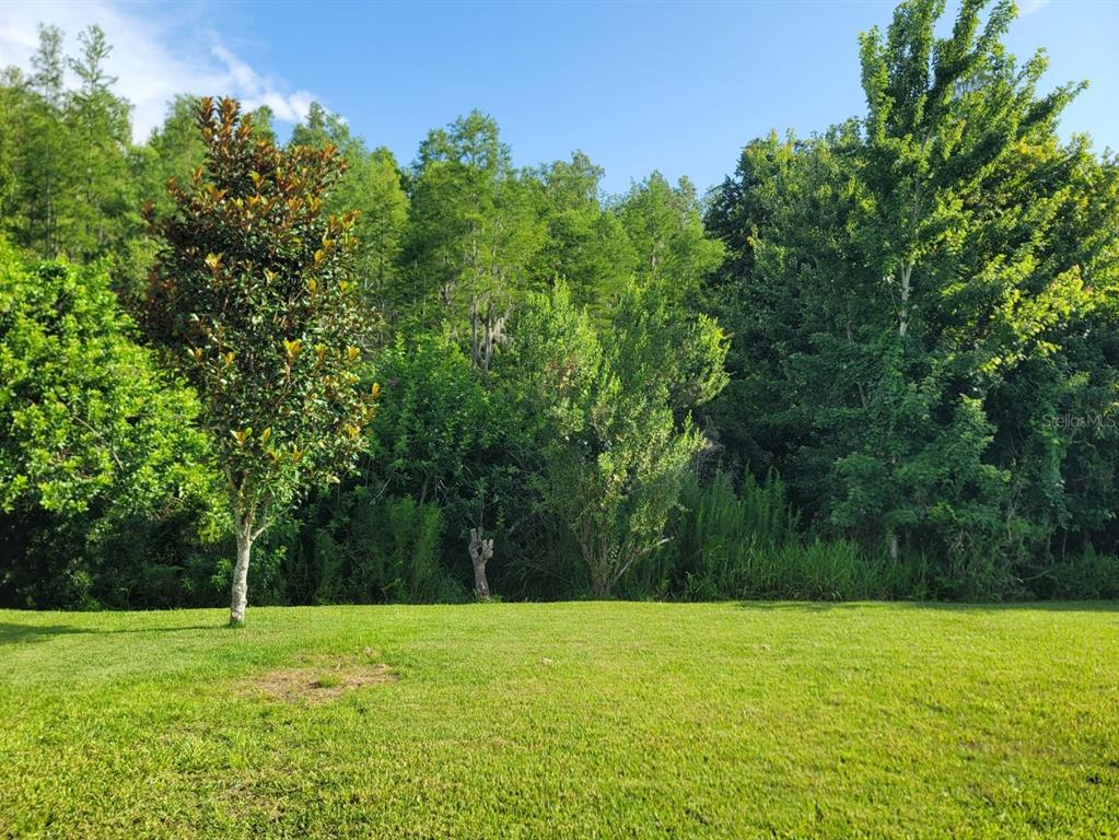 An aerial view shows three suburban houses with driveways and lawns bordering a dense forest — 21613 SOUTHERN CHARM DRIVE UNIT DR, LAND O LAKES, FL