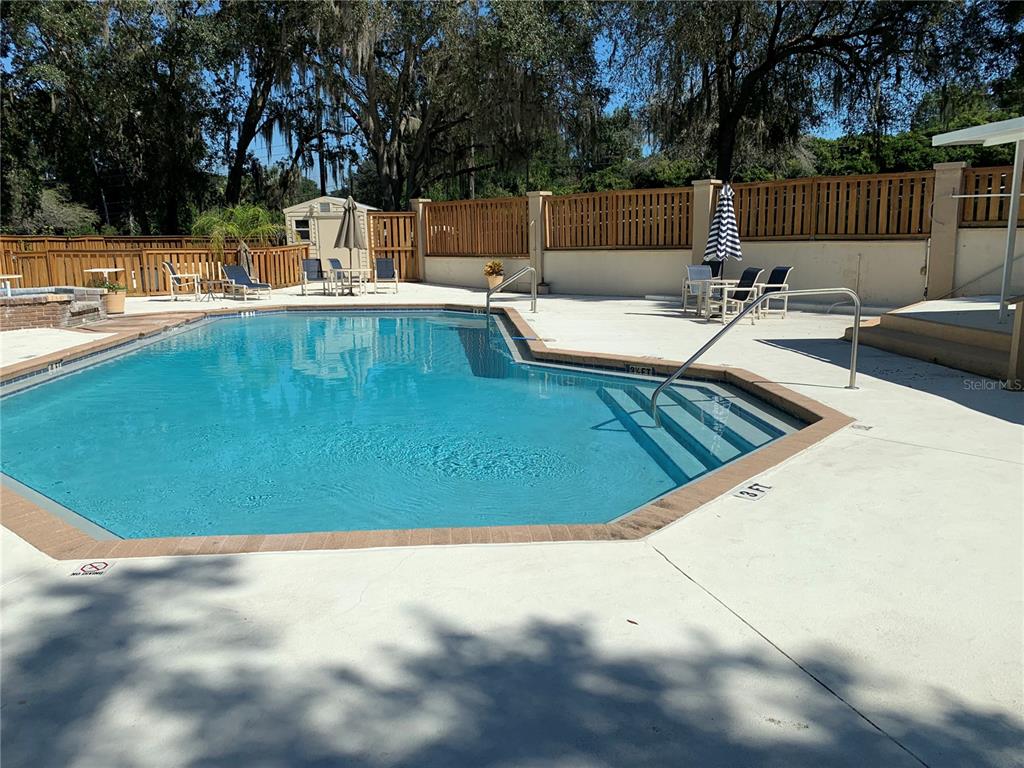 A rectangular swimming pool with stairs is surrounded by a concrete deck and wooden fencing — 3550 N LAKESIDE VILLAGE DRIVE, BEVERLY HILLS, FL