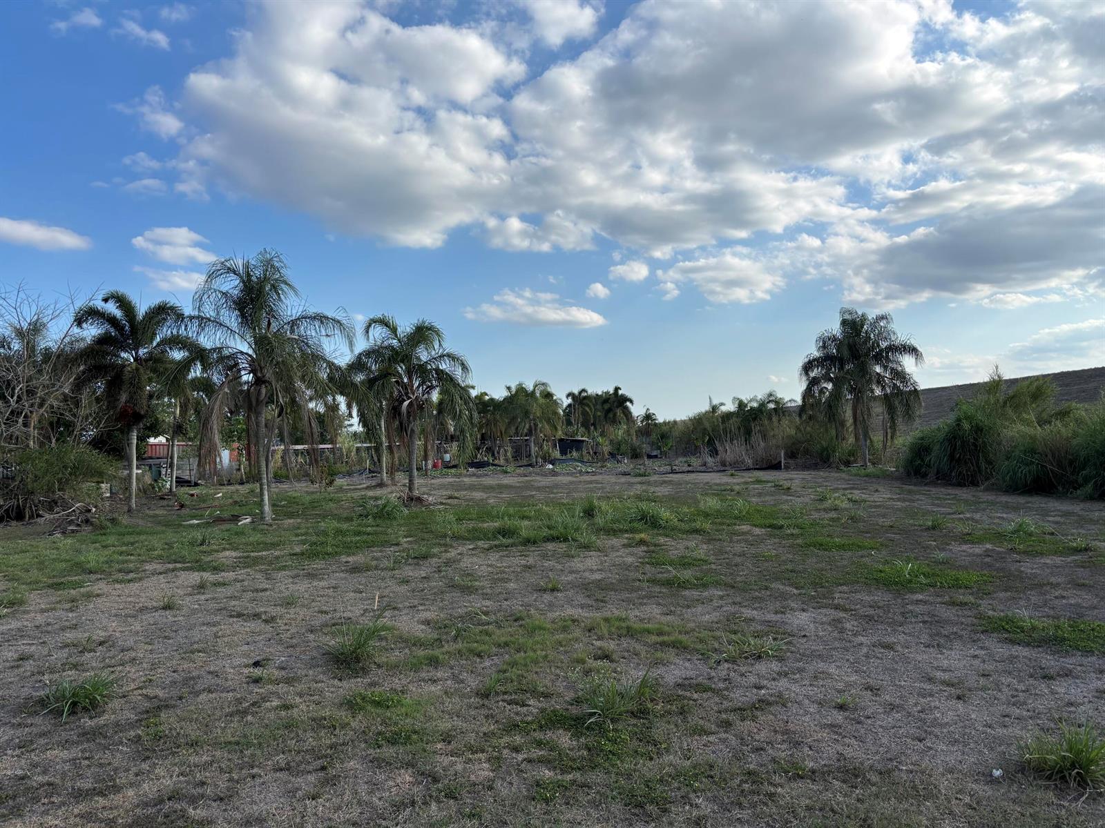 A grassy, open lot features several palm trees under a blue sky with scattered clouds — 0 Airport Road, Pahokee FL 33476, PAHOKEE, FL