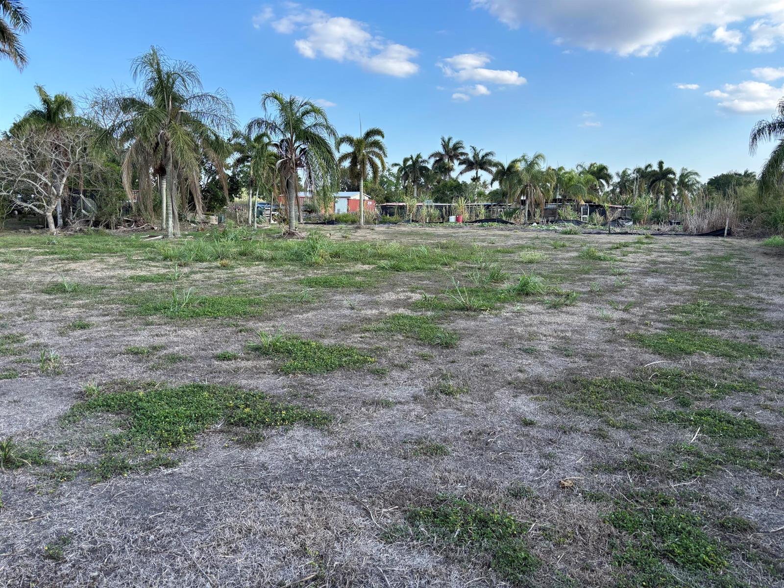A large, flat, grassy lot with scattered palm trees and structures in the background — 0 Airport Road, Pahokee FL 33476, PAHOKEE, FL
