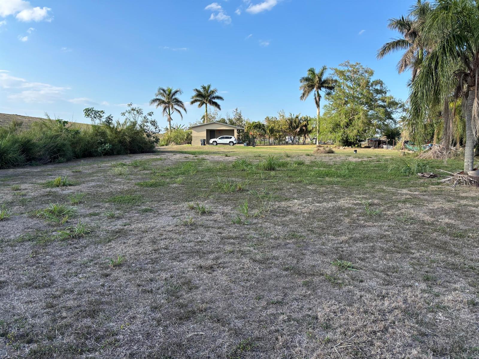 A large, grassy lot features a small house and several palm trees under a blue sky — 0 Airport Road, Pahokee FL 33476, PAHOKEE, FL