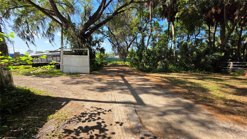 A dirt driveway leads toward a white gate surrounded by trees and dense vegetation — 2319 S 50TH STREET, TAMPA, FL