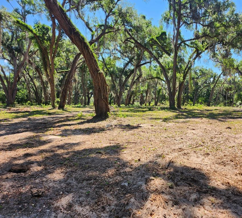 MUCK POND ROAD, SEFFNER, FL — photo 4 of 15