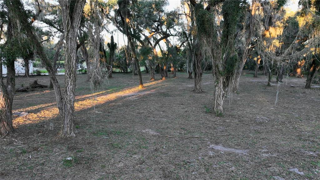 MUCK POND ROAD, SEFFNER, FL — photo 5 of 15