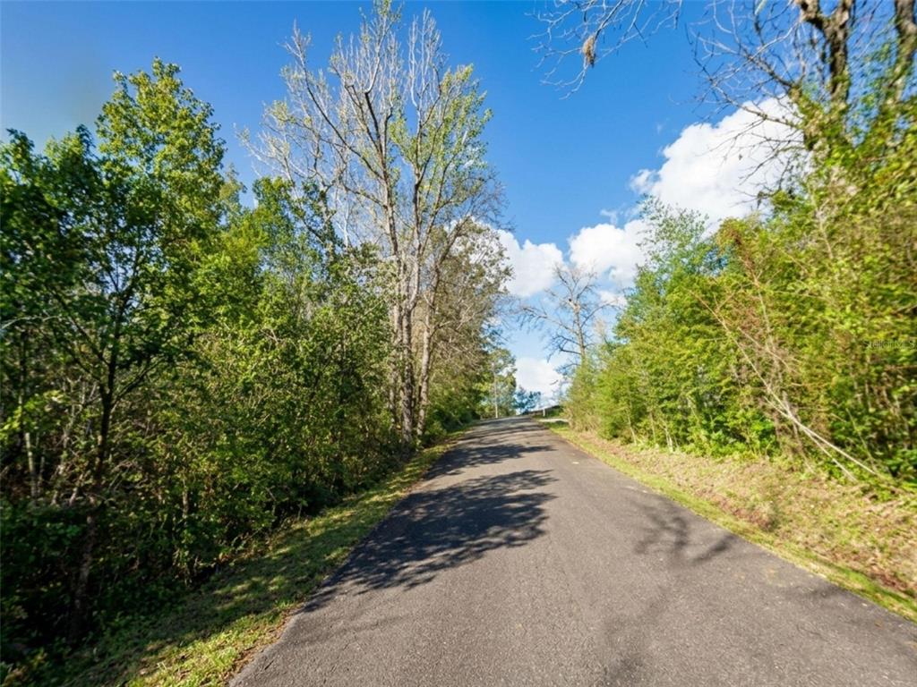 A paved road leads uphill through a wooded area under a bright blue sky — SATSUMA RD, CHATTAHOOCHEE, FL