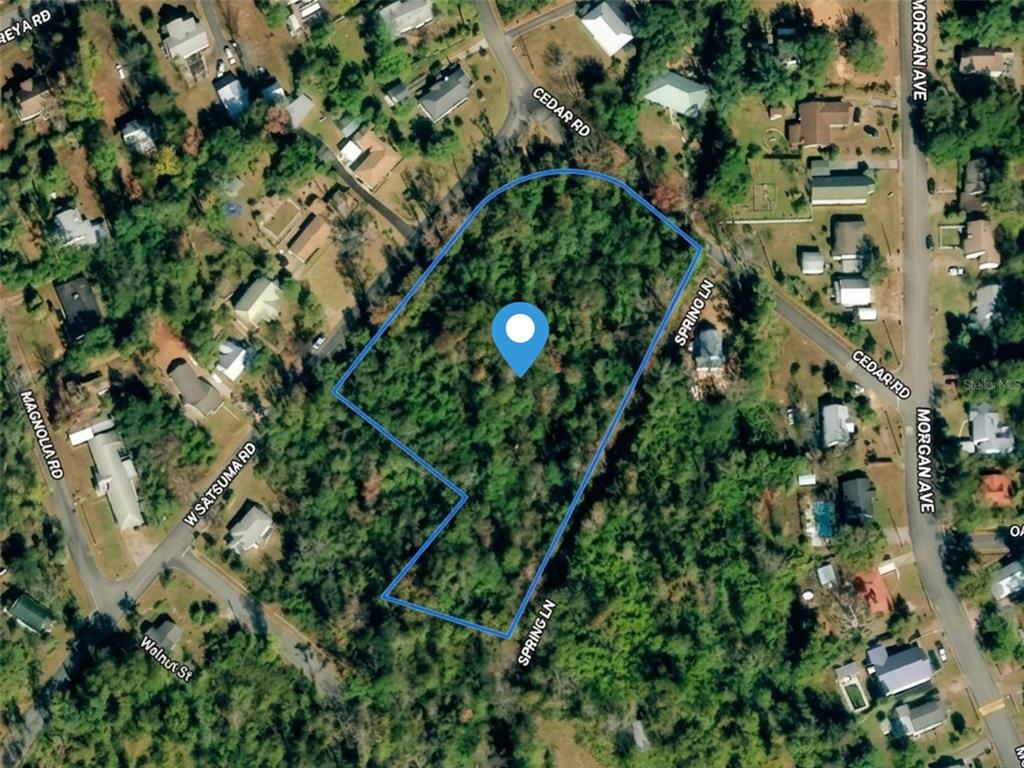 An aerial map shows a wooded, irregularly shaped vacant lot outlined in blue — SATSUMA RD, CHATTAHOOCHEE, FL
