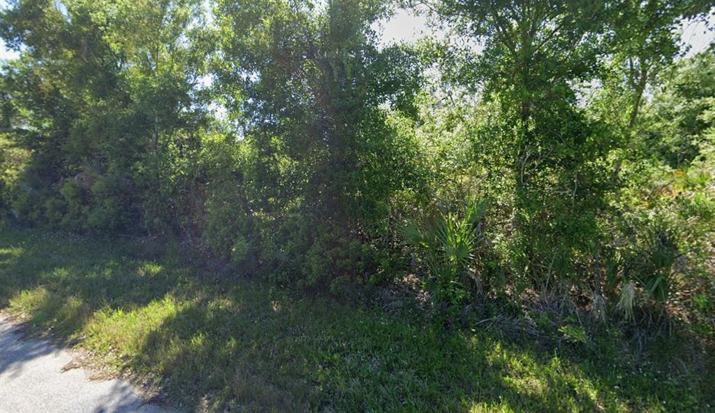 A dense, wooded lot with tall trees and underbrush bordering a paved road — 3501 LINDGREN STREET, PORT CHARLOTTE, FL