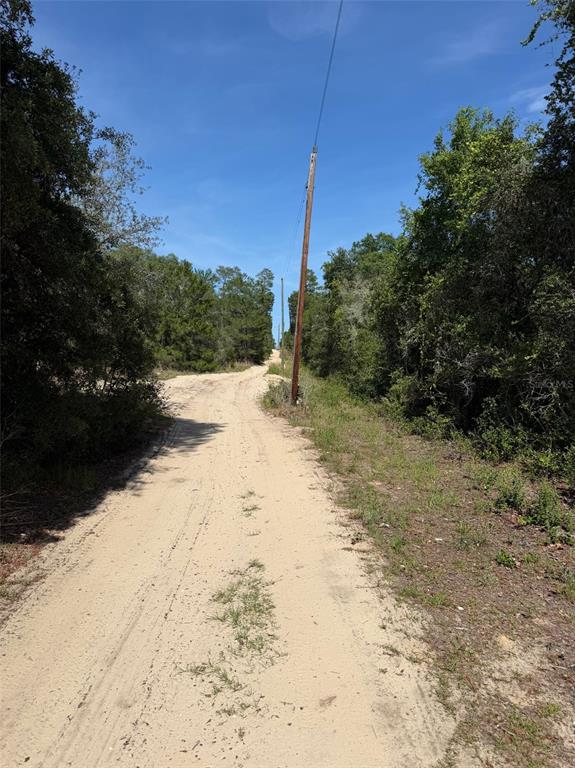 A dirt road stretches through a wooded area with utility poles lining the right side — TBD NE 234 PLACE, FORT MC COY, FL