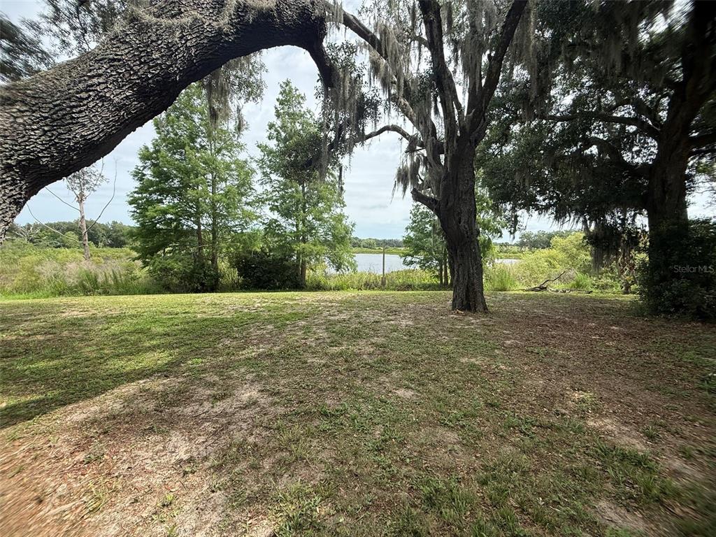 A grassy yard with large oak trees overlooks a lake under a cloudy sky — 7 LAGO VISTA COURT, DAVENPORT, FL