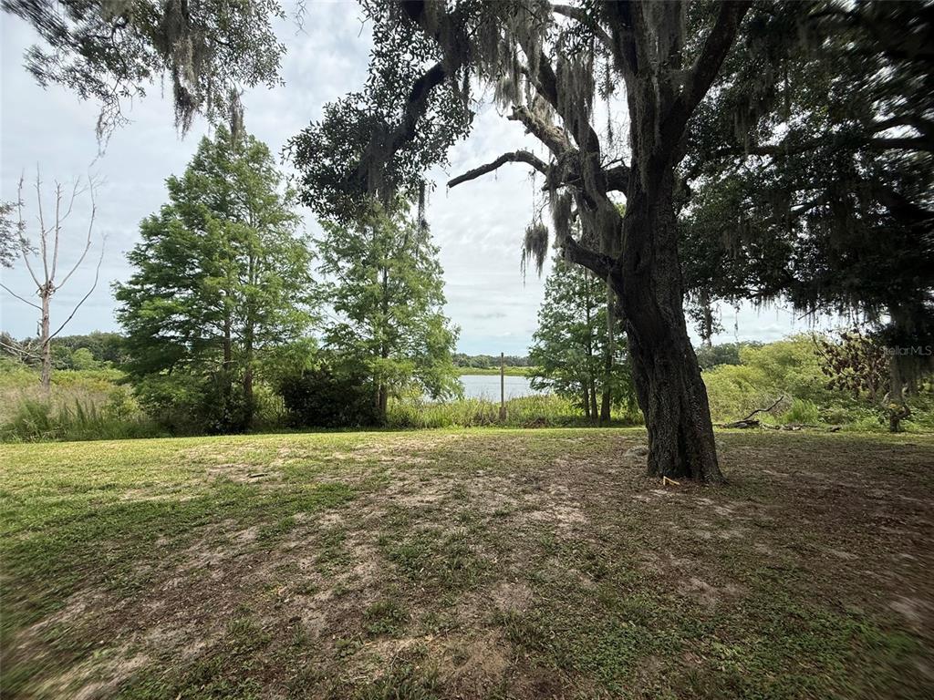 A grassy yard with large trees and Spanish moss overlooks a lake in the distance — 7 LAGO VISTA COURT, DAVENPORT, FL