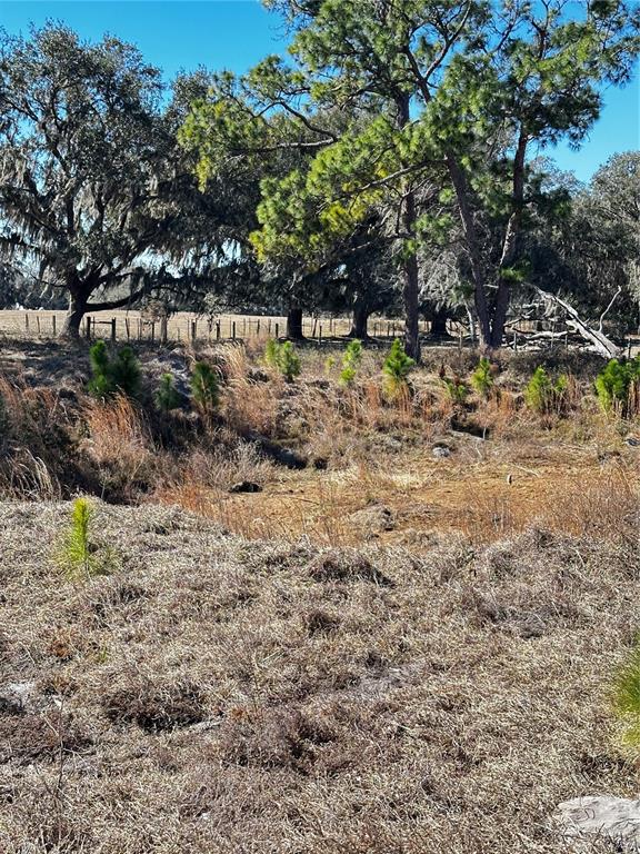 CR 707 ROAD, WEBSTER, FL — photo 5 of 6