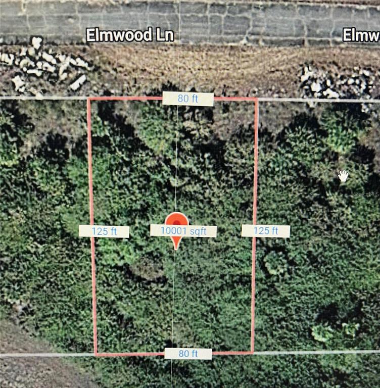 This is an aerial map showing a rectangular plot of land measuring 80 by 125 feet — 216 ELMWOOD STREET, LABELLE, FL