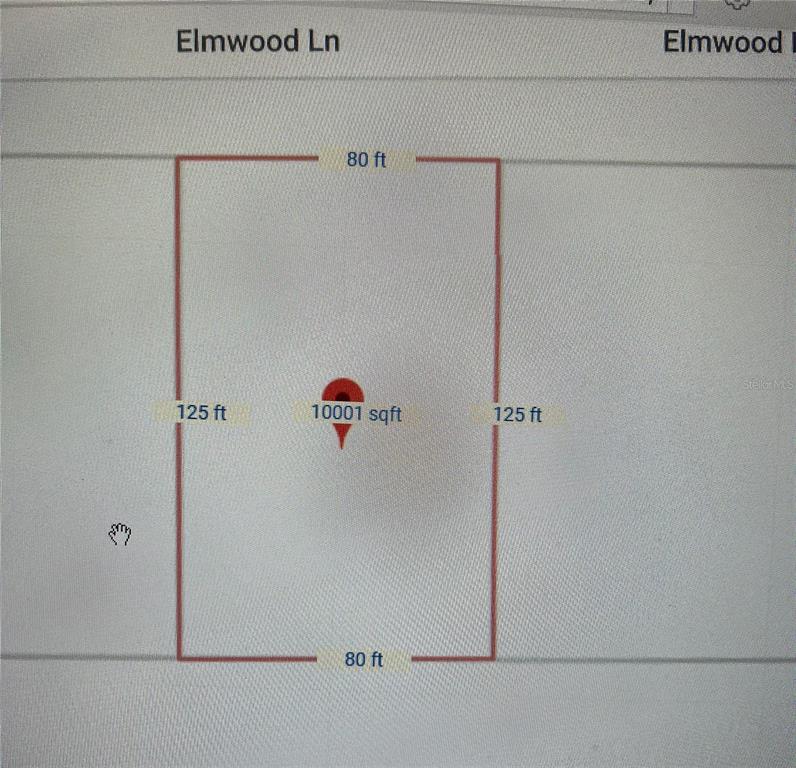 This is a map showing a rectangular plot of land measuring 80 feet by 125 feet — 216 ELMWOOD STREET, LABELLE, FL