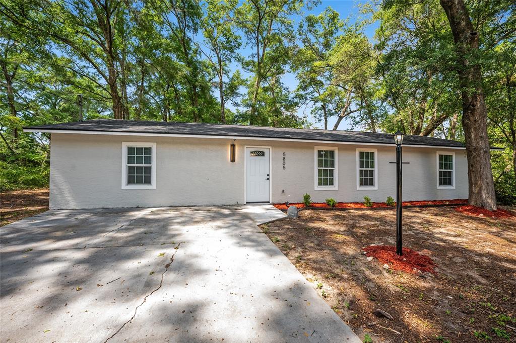 A single-story house with a light gray exterior, white door, and a concrete driveway — 5805 NW 16TH STREET, OCALA, FL