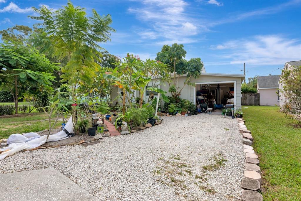 A gravel driveway leads to the carport of a single-story house with lush landscaping — 3278 56TH AVENUE N, ST PETERSBURG, FL