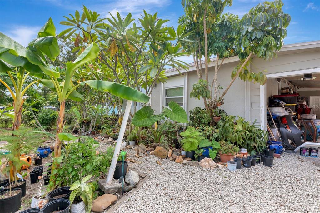 A gravel yard features numerous potted plants, tropical trees, and an open garage entrance — 3278 56TH AVENUE N, ST PETERSBURG, FL