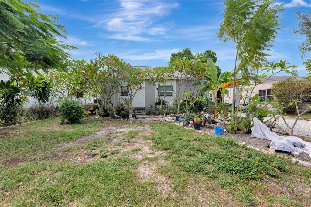A single-story house with a front yard, numerous small trees, and a gravel driveway — 3278 56TH AVENUE N, ST PETERSBURG, FL