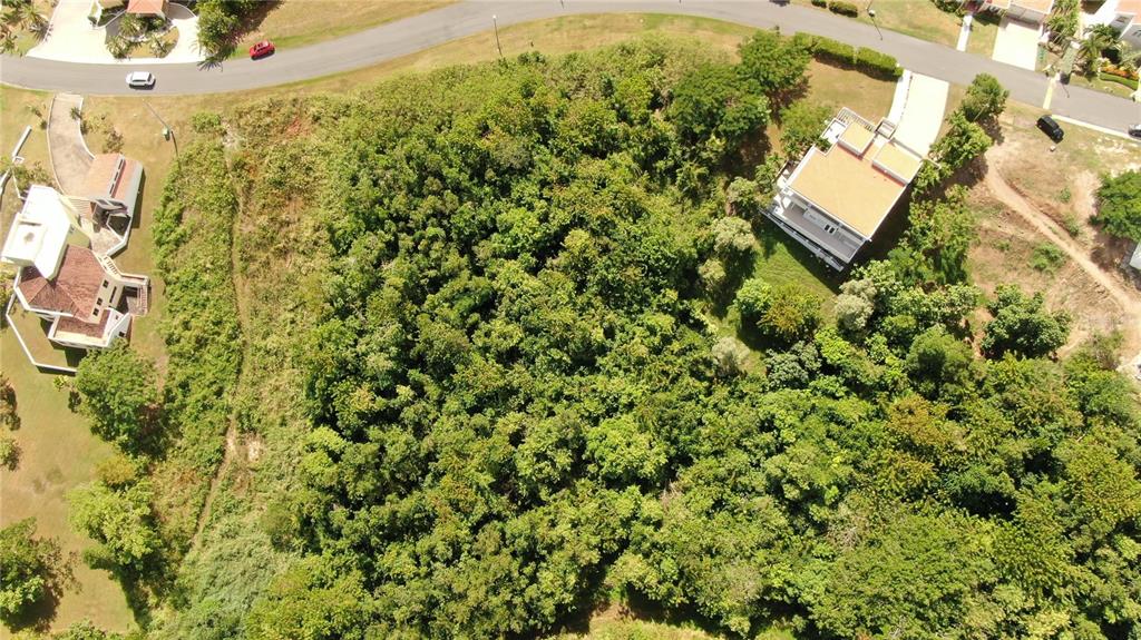 An aerial view shows a vacant, wooded lot situated between two residential houses — PORT ROAD ROAD UNIT 17, HUMACAO, PR