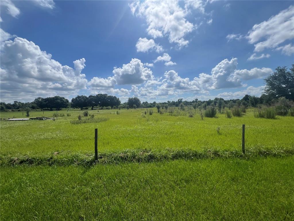 A grassy, open field is enclosed by a wire fence under a blue, cloudy sky — 8755 WAUCHULA ROAD, MYAKKA CITY, FL