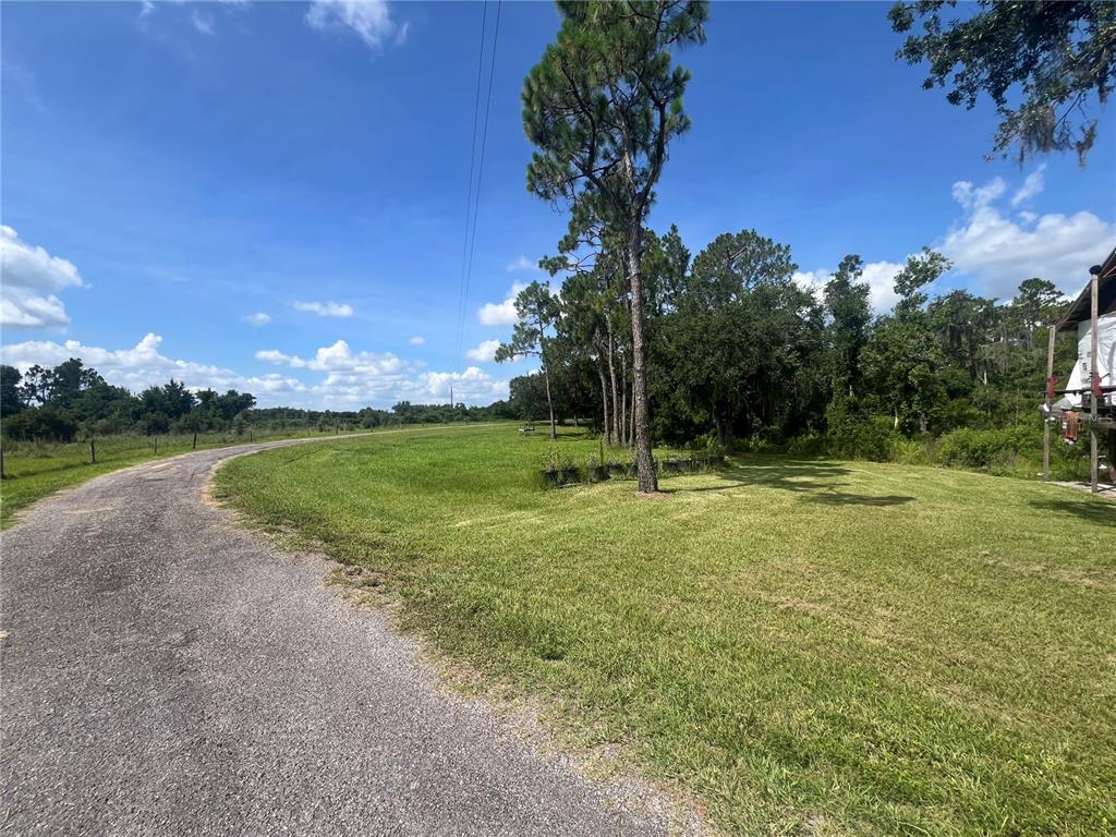A gravel driveway curves past a grassy field toward a line of tall pine trees — 8755 WAUCHULA ROAD, MYAKKA CITY, FL