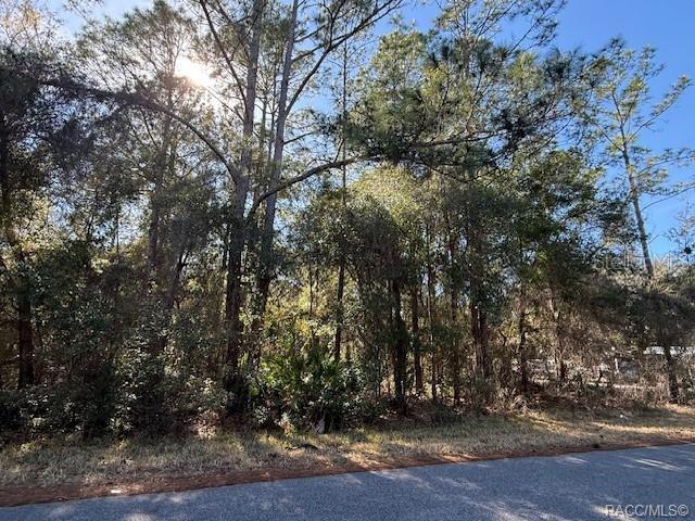 4280 E NUGGET PASS PLACE, DUNNELLON, FL — photo 3 of 11