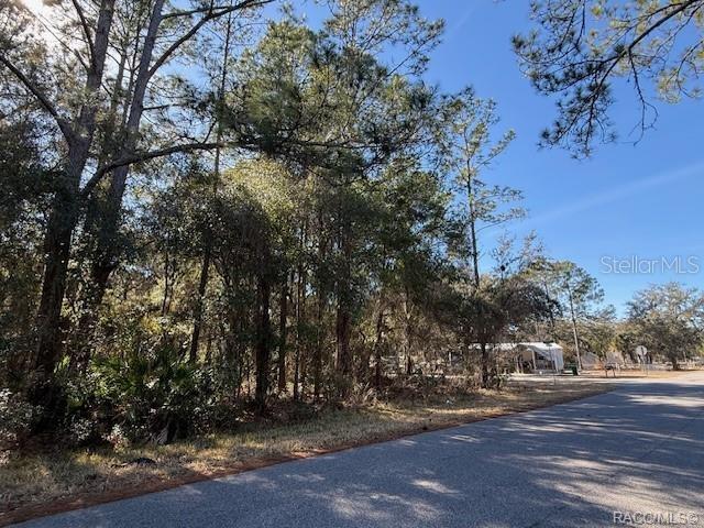 4280 E NUGGET PASS PLACE, DUNNELLON, FL — photo 4 of 11