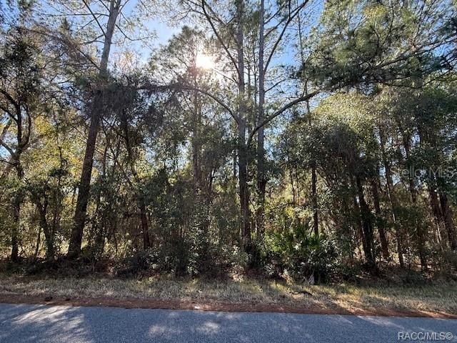 4280 E NUGGET PASS PLACE, DUNNELLON, FL — photo 5 of 11