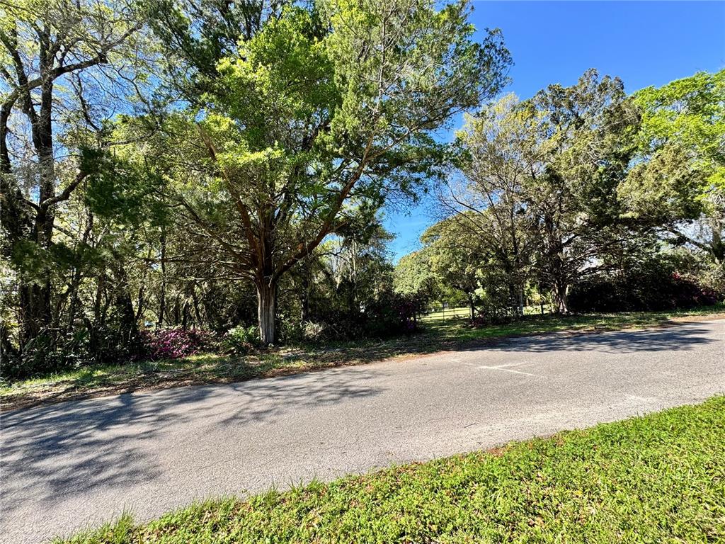 A paved road runs alongside a wooded lot with mature trees and flowering bushes — 1336 NE 191ST TERRACE, HAWTHORNE, FL