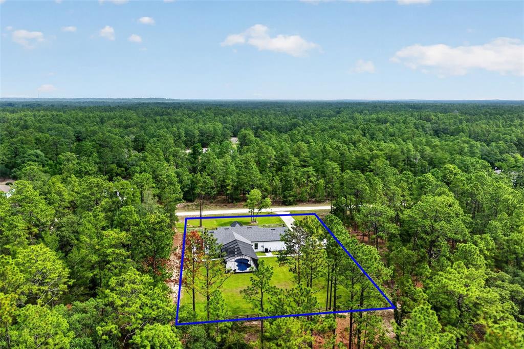 An aerial view shows a house with a pool surrounded by a dense pine forest — 12552 SW 78TH PLACE, DUNNELLON, FL