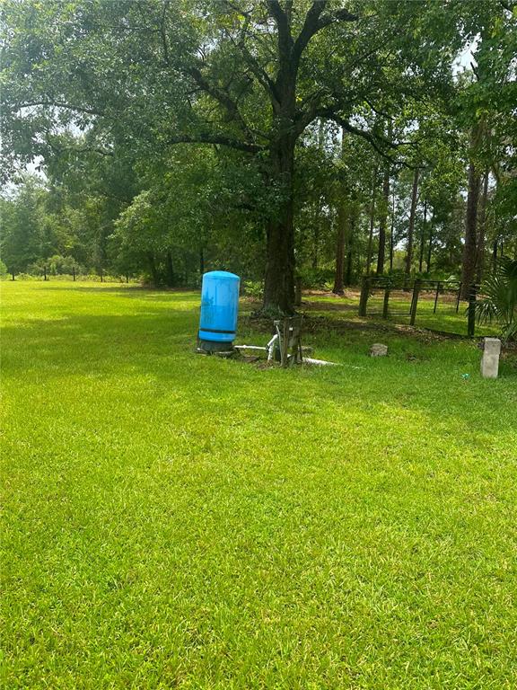 A blue well pressure tank sits in a grassy yard near a large tree — 7251 NE 227TH PLACE, CITRA, FL