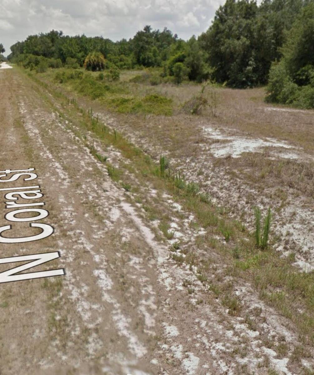 A dirt road runs alongside a grassy, undeveloped lot with scattered trees and shrubs — 160 N Coral Street, Clewiston FL 33440, CLEWISTON, FL