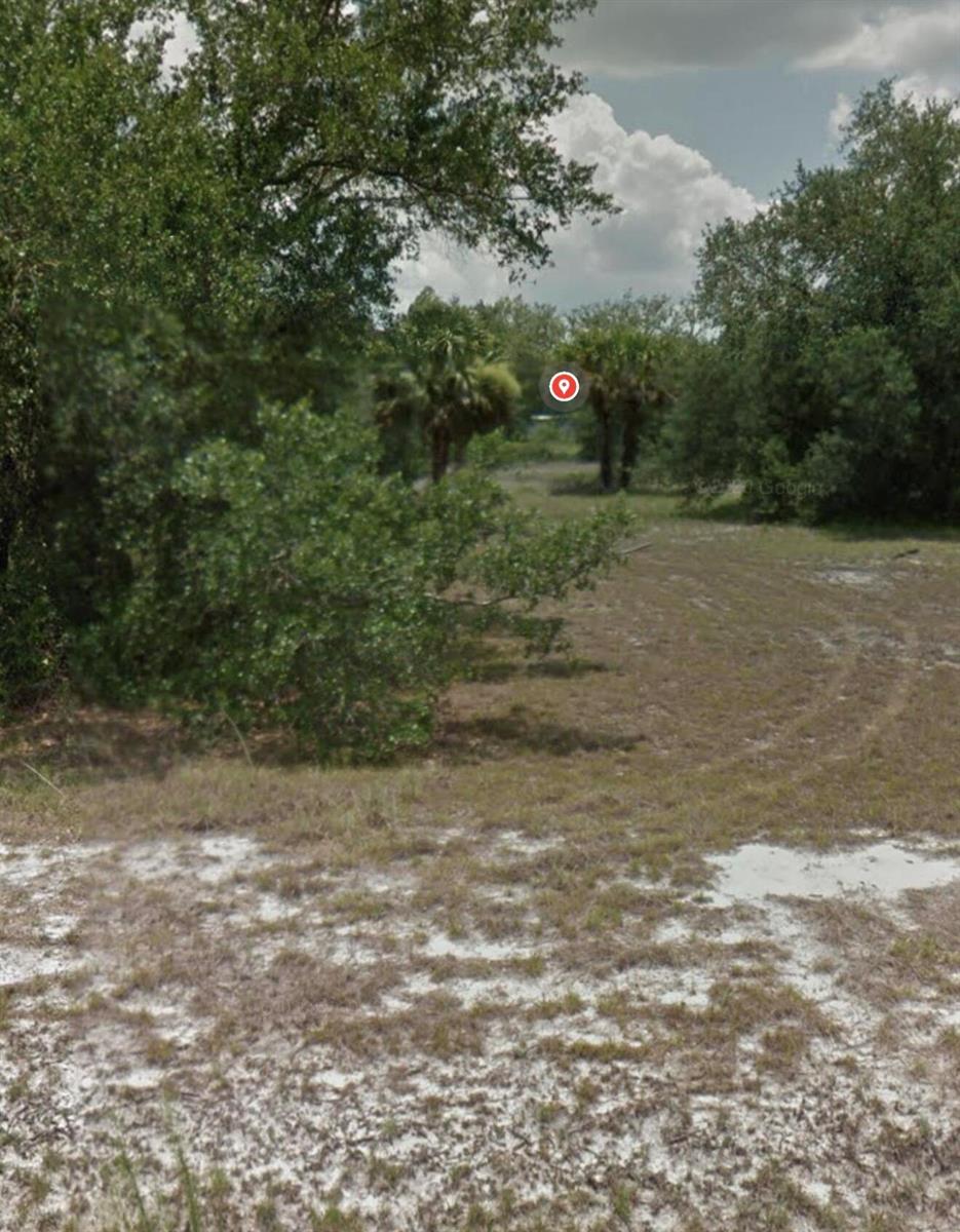 A vacant, grassy lot with sandy patches is surrounded by trees and palm trees — 160 N Coral Street, Clewiston FL 33440, CLEWISTON, FL