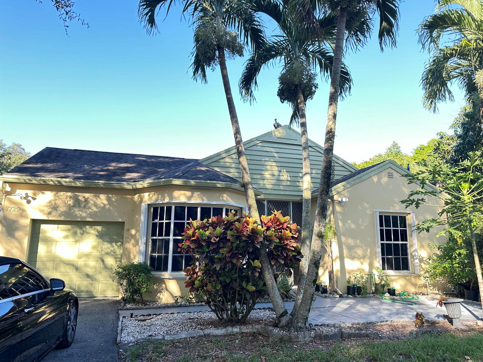 A single-story house with a yellow exterior, a garage, and palm trees in the front yard — 7729 Forest Green Lane, Boynton Beach FL 33436, BOYNTON BEACH, FL