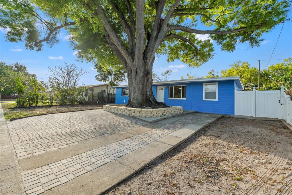 A blue house features a large tree in the front yard with a stone planter — 8996 SOUTHERN COMFORT DRIVE, LARGO, FL